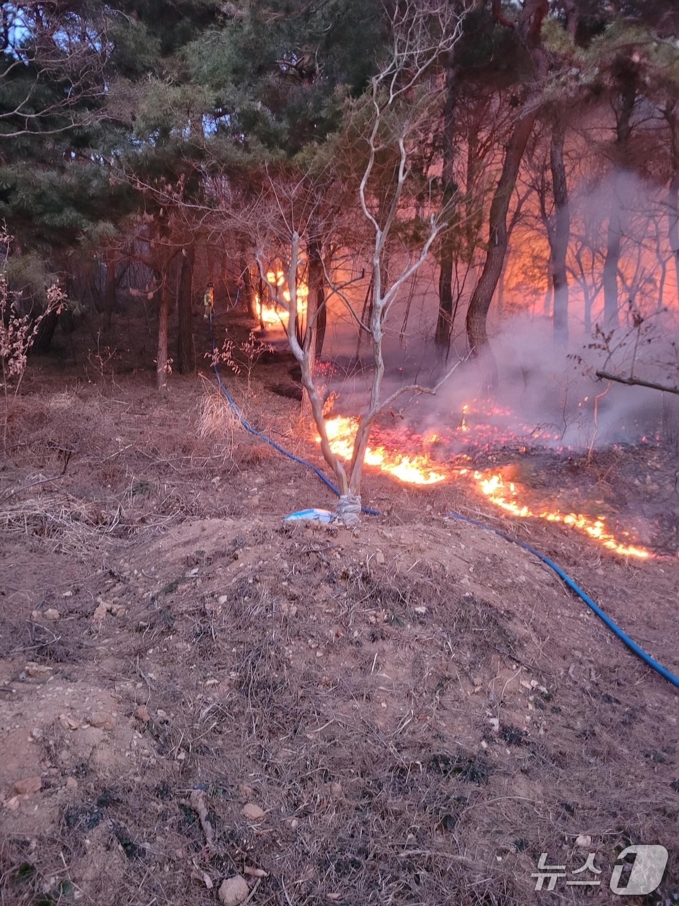 본문 이미지 - 논산 연산면 관동리 산불 진화 현장. (산림청 제공, 재판매 및 DB금지) / 뉴스1
