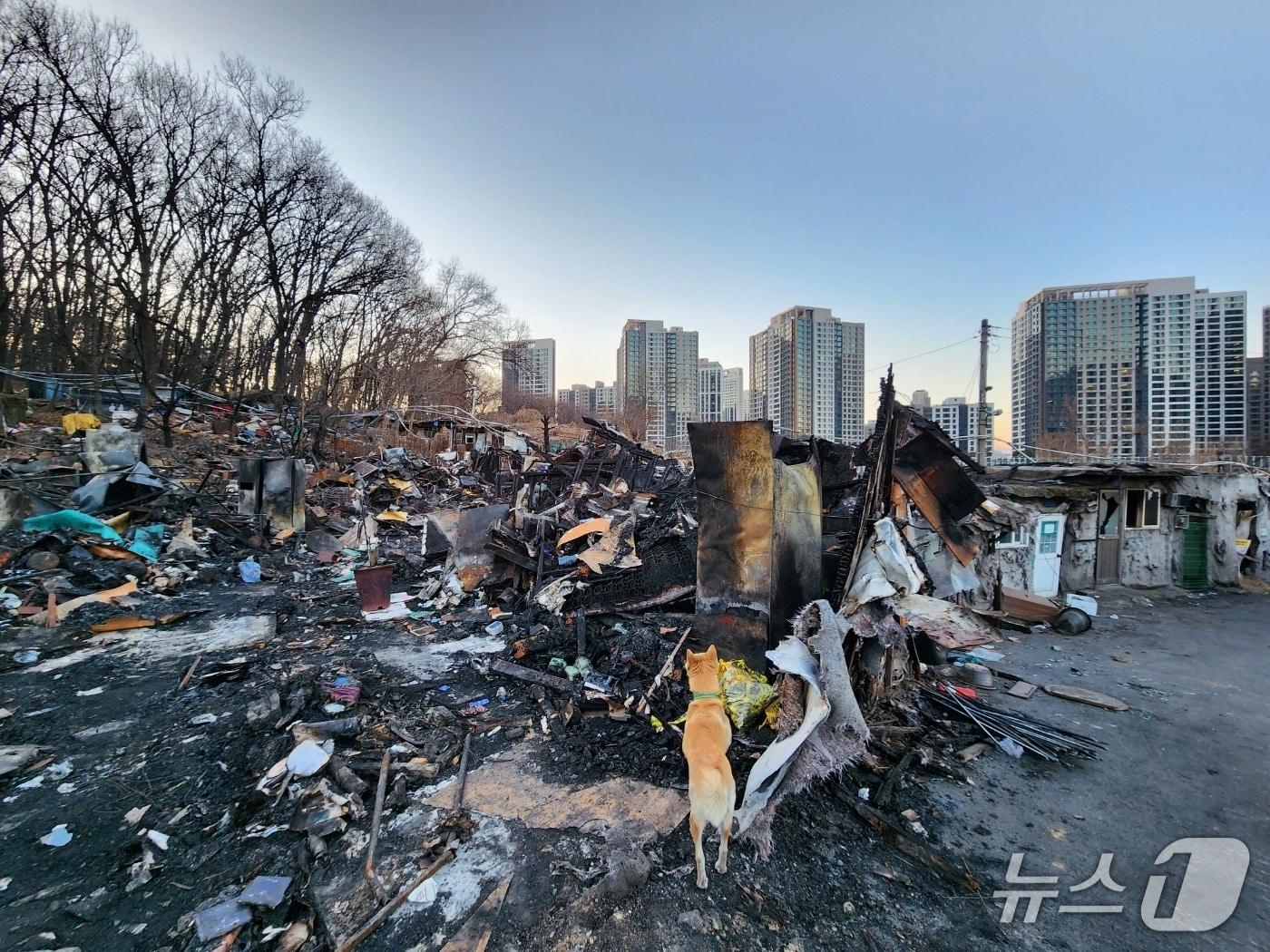 본문 이미지 - 21일 서울시 강남구의 마지막 판자촌이라 불리는 구룡마을 화재 현장 너머로 신축 아파트가 우뚝 서 있다. 2026.01.23/ⓒ 뉴스1 권진영 기자