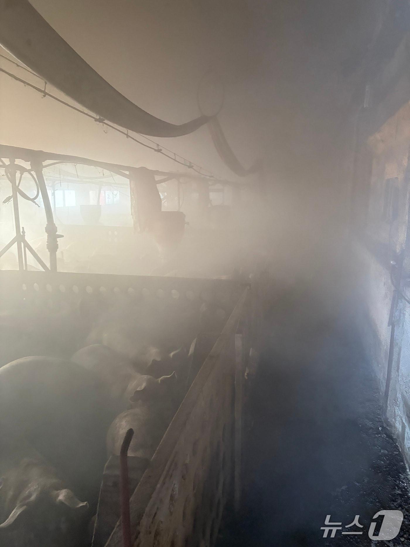 본문 이미지 - 23일 영광군 한 돈사에서 불이 났다. (전남소방본부 제공. 재판매 및 DB 금지) 2026.1.23