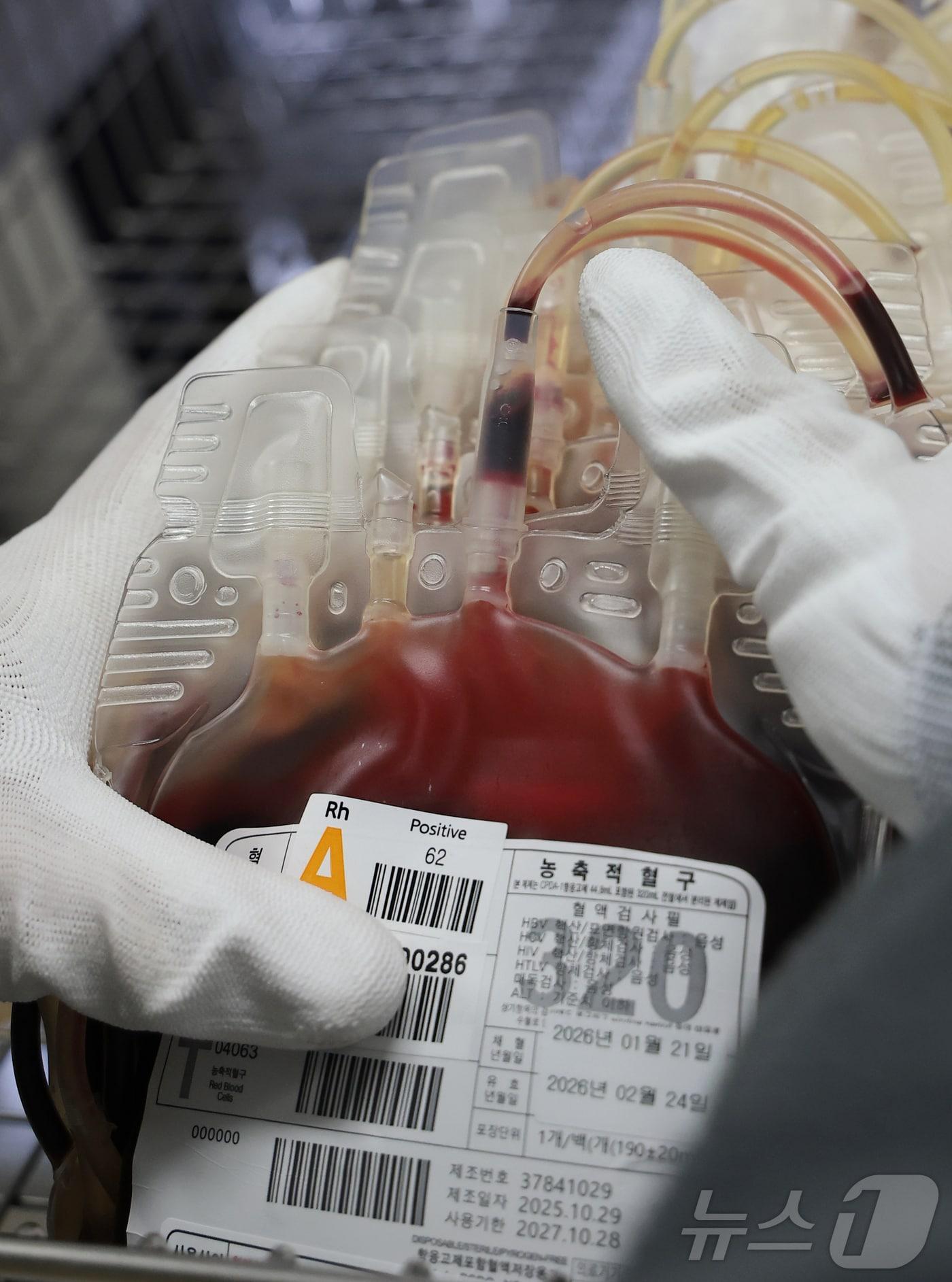 본문 이미지 - 23일 오후 서울 노원구 대한적십자사 서울동부혈액원에 혈액이 보관함에 담겨 있다.  ⓒ 뉴스1 권현진 기자