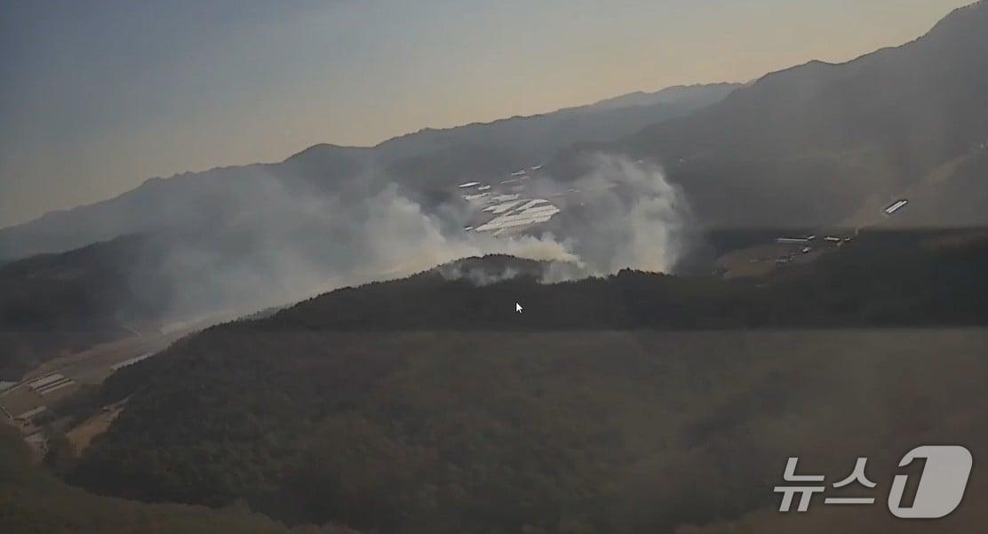 본문 이미지 - 봉화산불 사진(산림청 제공. 재판매 및 DB금지)/뉴스1