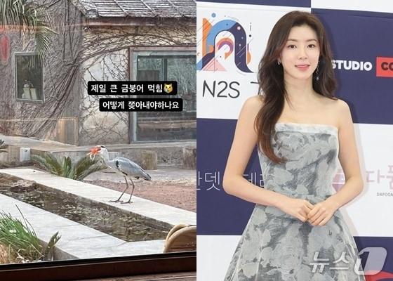 본문 이미지 - 사진=박한별 인스타그램, 뉴스1 DB