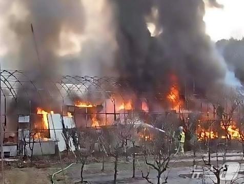 본문 이미지 - 화재 현장. (경기도소방재난본부 제공. 재판매 및 DB 금지) 2026.1.23/뉴스1