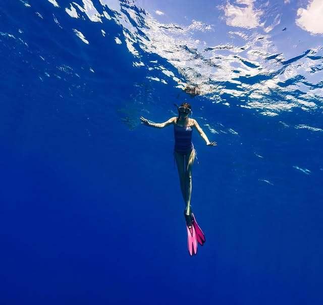 본문 이미지 - 신지 SNS