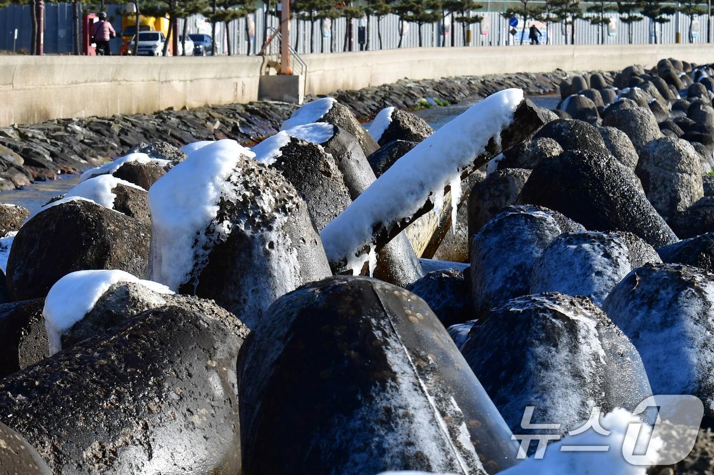본문 이미지 - 지난 25일 오전 경북 포항시 북구 환여동 앞 바다에 있는 테트라포드 위에 바닷물이 얼어 붙어있다. 2026.1.25/뉴스1 ⓒ News1 최창호 기자