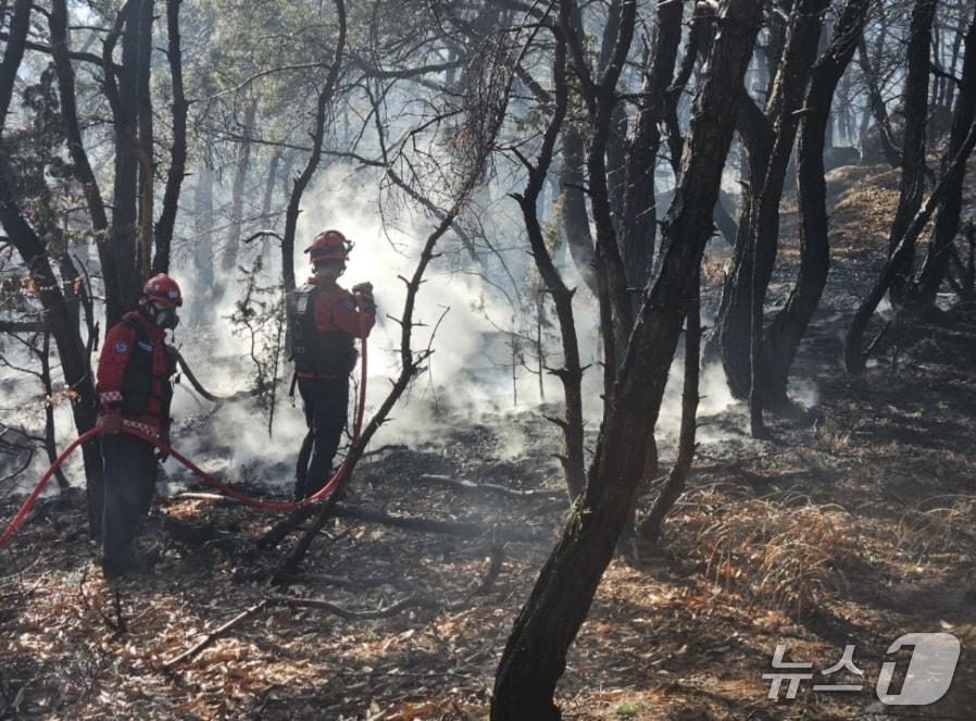 본문 이미지 - 25일 오후 1시33분쯤 경북 경주시 산내면 외칠리 야산에서 불이 나 소방대원이 진화하고 있다. (산림청 제공, 재판매 및 DB금지)