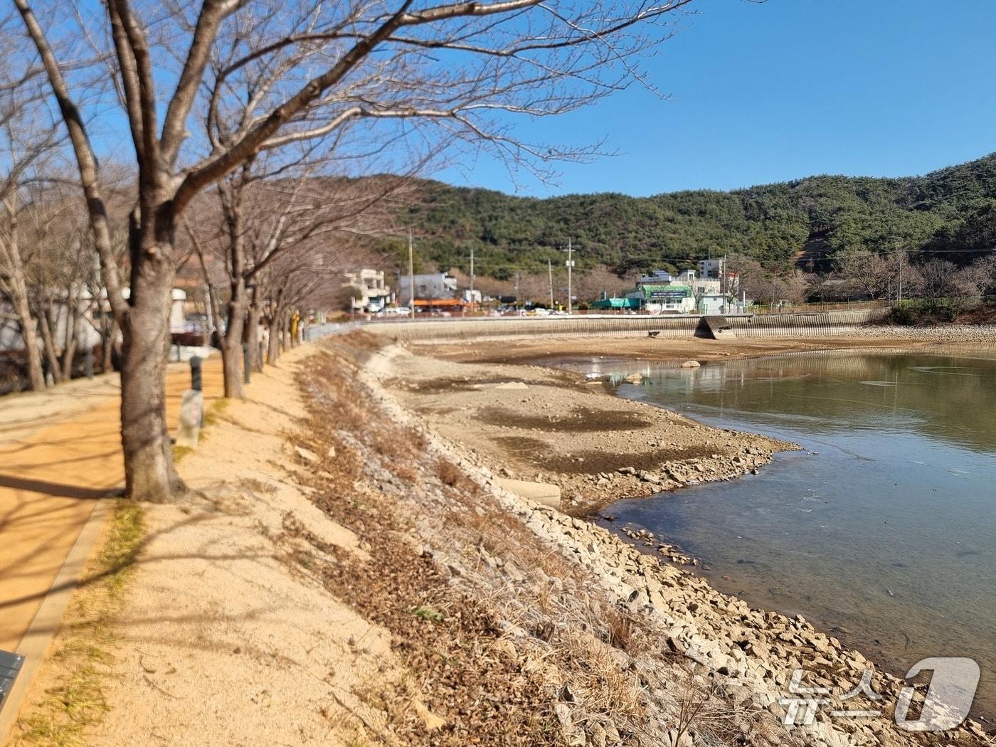본문 이미지 - 부산 금정구 회동수원지 전경. 2026.01.25/뉴스1 ⓒ News1 임순택 기자