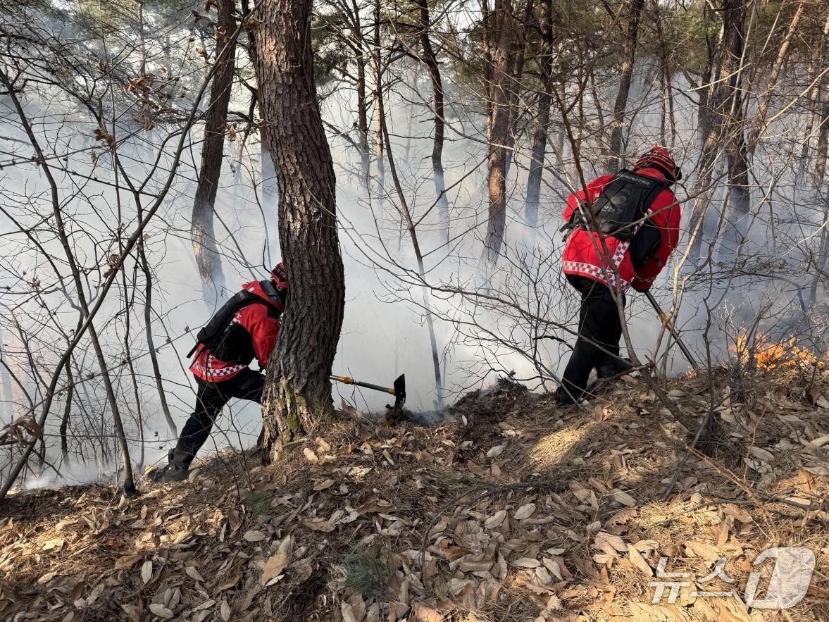 본문 이미지 - 25일 오후 1시 27분쯤 충북 괴산군 청천면 운교리의 한 야산에서 불이 나 40여 분만에 진화됐다.(산림청 제공. 재판매 및 DB금지) /뉴스1 