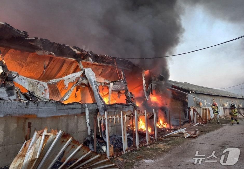 본문 이미지 - 25일 오후 5시 19분쯤 구미시 무을면 돈사에서 불이나 소방 당국이 진화하고 있다.(경북소방본부 제공. 재판매 및 DB 금지)2026.1.26/뉴스1