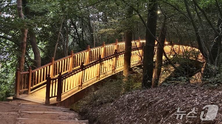 본문 이미지 - 부춘산 등산로에 설치된 경관조명 모습(서산시 제공. 재판매 및 DB금지)2026.1.26/뉴스1