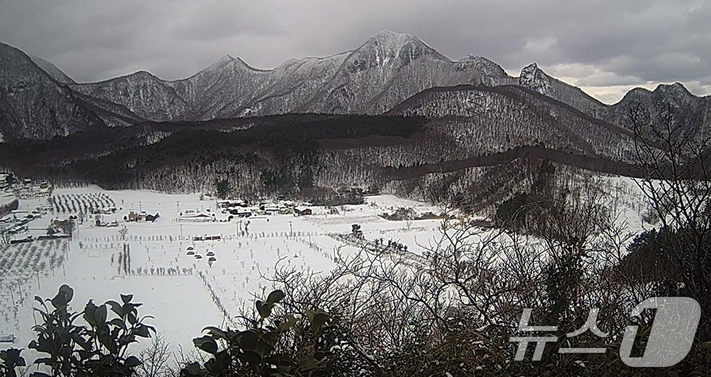 본문 이미지 - 울릉도의 최고봉인 성인봉은 원시림과 능선이 이어지는 트레킹 코스로, 정상에 오르는 과정 자체가 하나의 여행이 된다./뉴스1