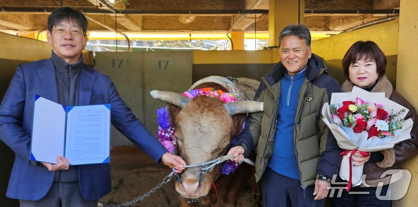 본문 이미지 - 청도공영사업공사 강진호 사장(왼쪽 첫번째)과 소 주인인 하승봉 씨가 지난 25일 싸움소 '부흥'의 은퇴식에서 기념촬영을 했다.(청도군 제공. 재판매 및 DB금지)/뉴스1