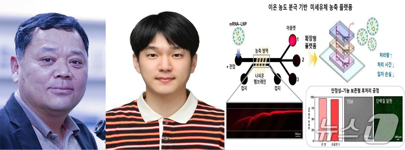 본문 이미지 - 포스텍(포항공대) 기계공학과 임근배 교수, 박사과정 윤승빈 씨 연구팀이 (주) 인벤티지햅과 함께 mRNA 치료 제조 과정의 핵심 난제였던 전달체 손상 문재를 해결했다고 26일 밝혔다.(포스텍 제공, 재판매 및 DB금지) 2026.1.26/뉴스1 