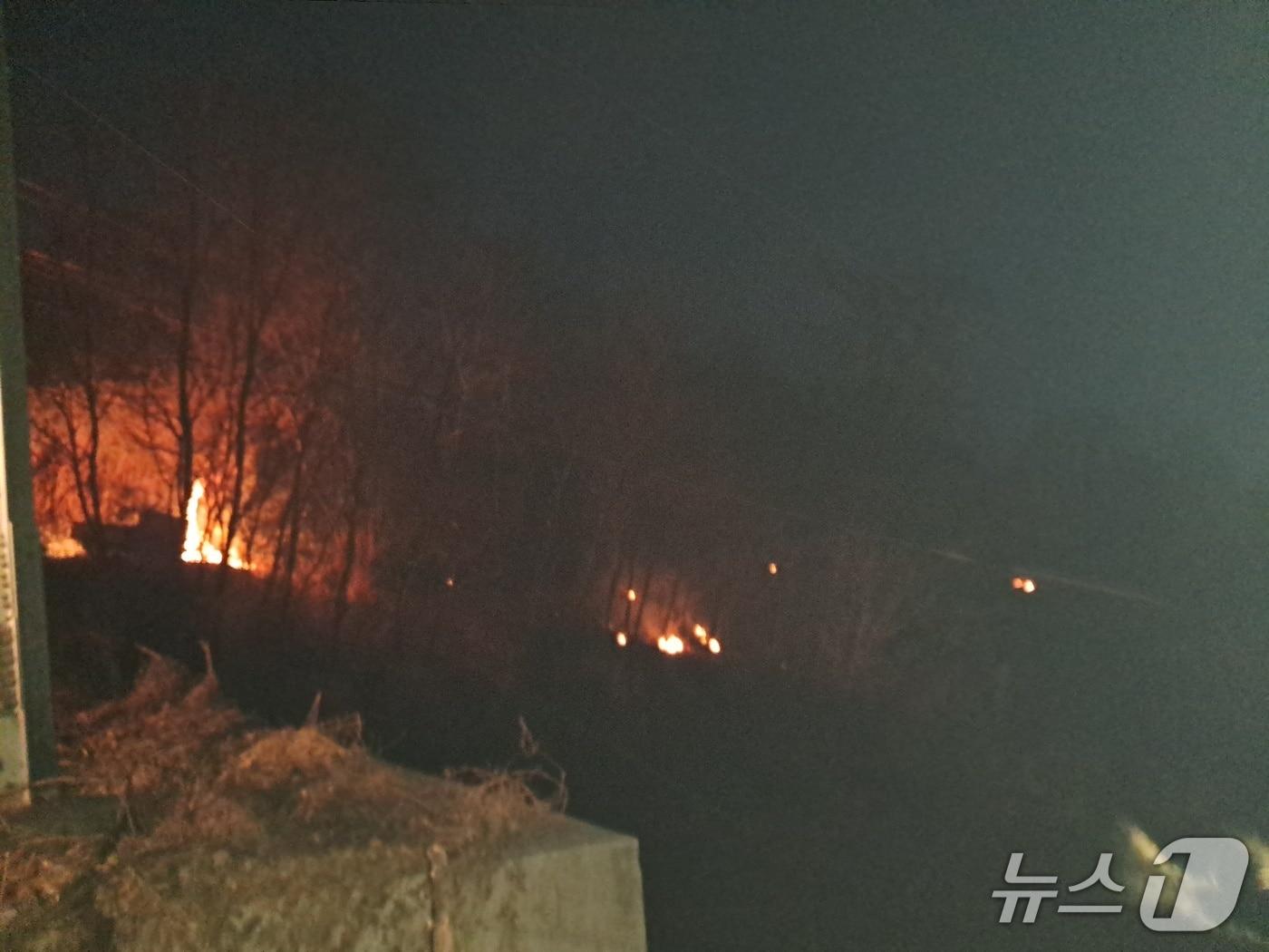 본문 이미지 - 26일 오전 6시 31분께 울산 울주군 화산리 인근 야산에서 화재가 발생했다. (울산소방본부 제공. 재판매 및 DB금지)/뉴스1