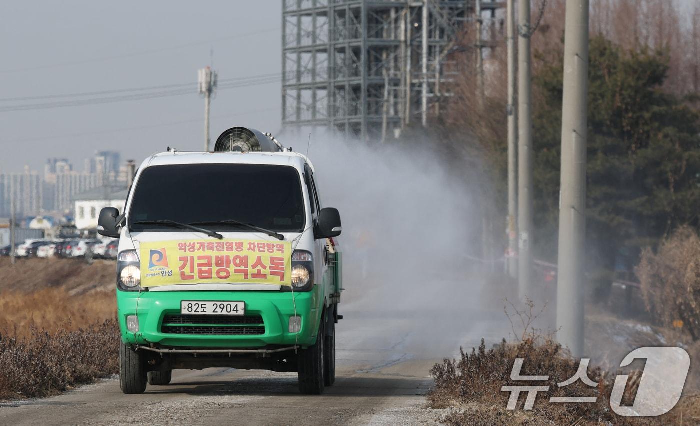 본문 이미지 - 아프리카돼지열병(ASF)이 잇따라 발생하며 방역에 비상이 걸린 가운데 26일 경기 안성시 미양면 일대에서 안성시 관계자가 집중 소독 및 방역 작업을 하고 있다. 경기 안성시 미양면의 한 돼지 사육농가에서 ASF 양성 판정받은 지 하루만인 지난 24일 경기 포천에 있는 양돈농장에서도 아프리카돼지열병(ASF)이 확진됐다. 2026.1.26/뉴스1 ⓒ News1 김영운 기자