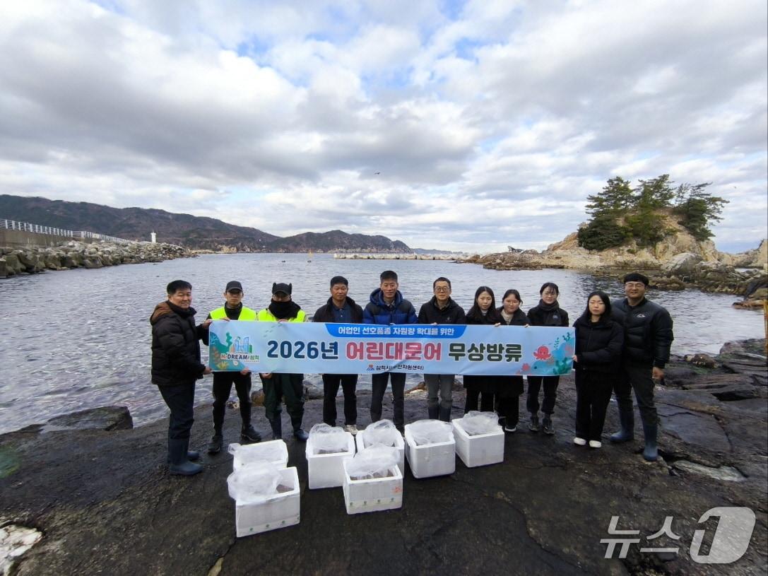 본문 이미지 - 대문어 방류.(삼척시 제공, 재판매 및 DB 금지) 2026.1.26/뉴스1