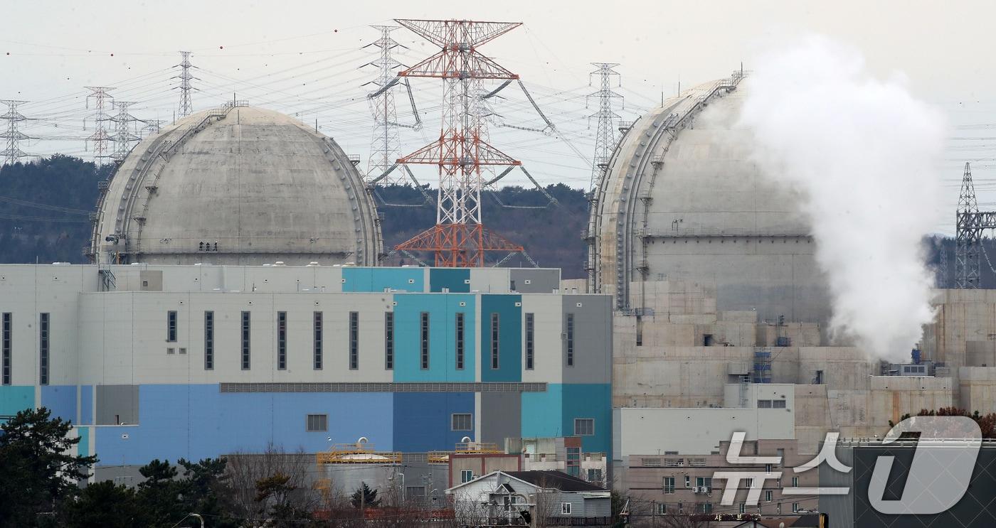 본문 이미지 -  울산 울주군 서생면 공사 중인 새울 3, 4호기(옛 신고리 5, 6호기) 모습. 2026.1.26/뉴스1 ⓒ News1 윤일지 기자