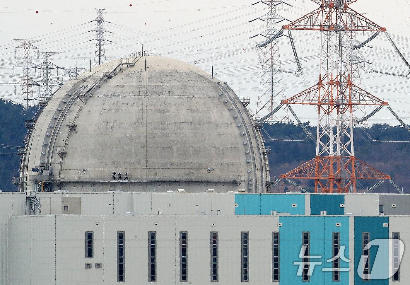 본문 이미지 -  울산 울주군 서생면 공사 중인 새울 3호기 모습. 2026.1.26 ⓒ 뉴스1 윤일지 기자
