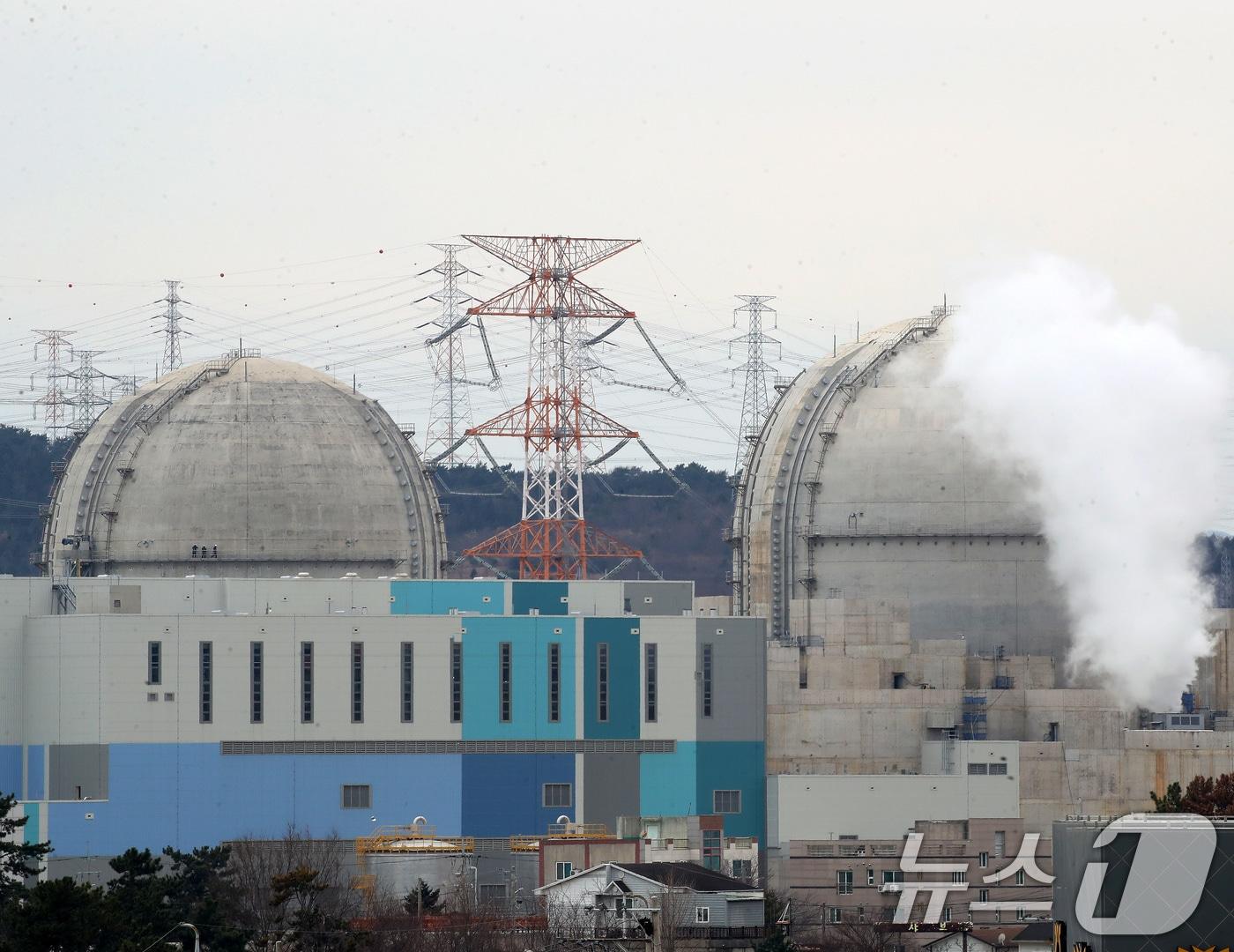 본문 이미지 - 사진은 이날 울산 울주군 서생면 공사 중인 새울 3, 4호기(옛 신고리 5, 6호기) 모습. 2026.1.26 ⓒ 뉴스1 윤일지 기자