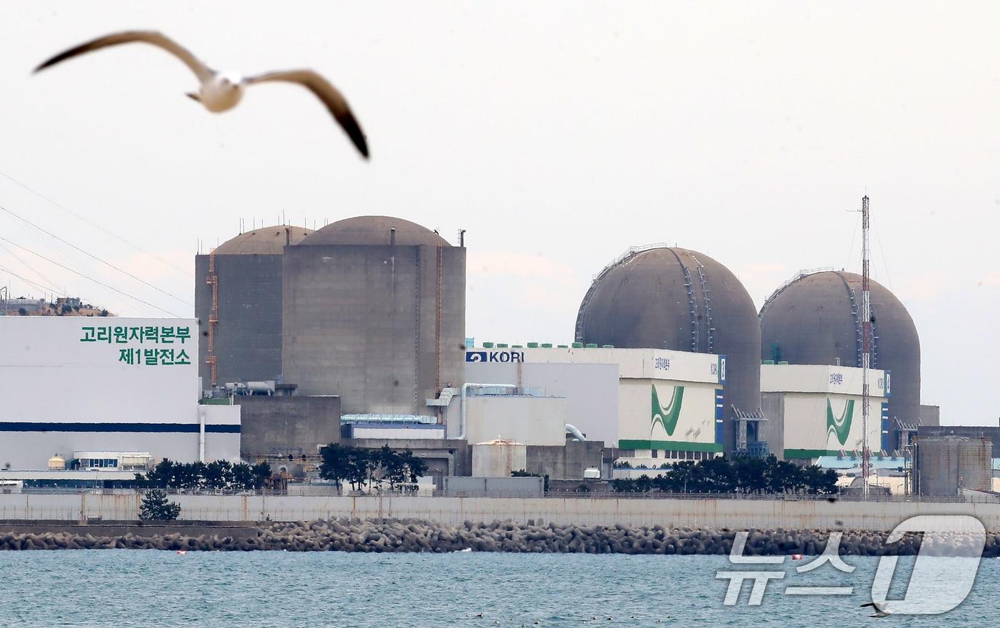 본문 이미지 - 26일 부산 기장군 장안읍 고리 1, 2, 3, 4호기 모습. 2026.1.26/뉴스1 ⓒ News1 윤일지 기자