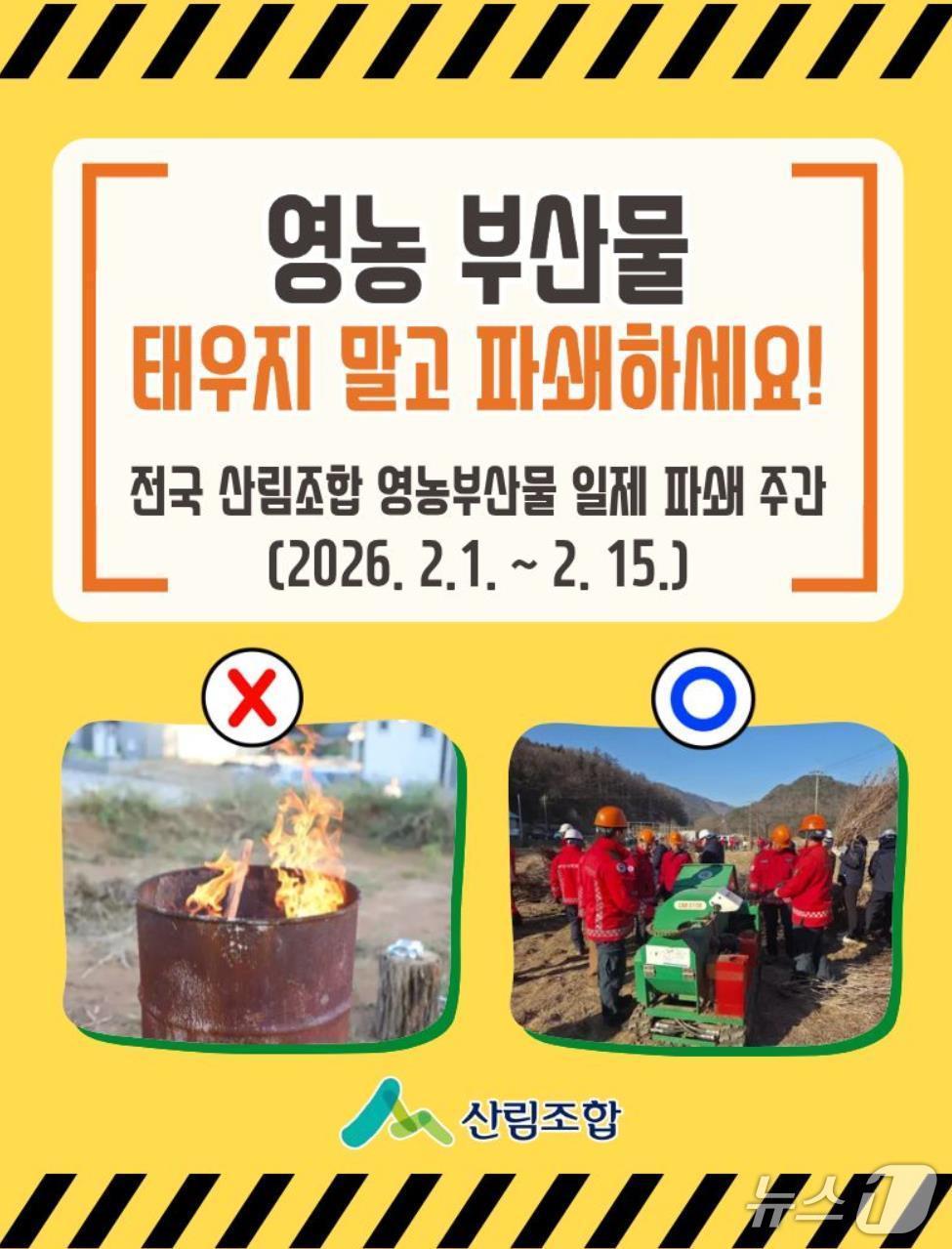 본문 이미지 -  뉴스1