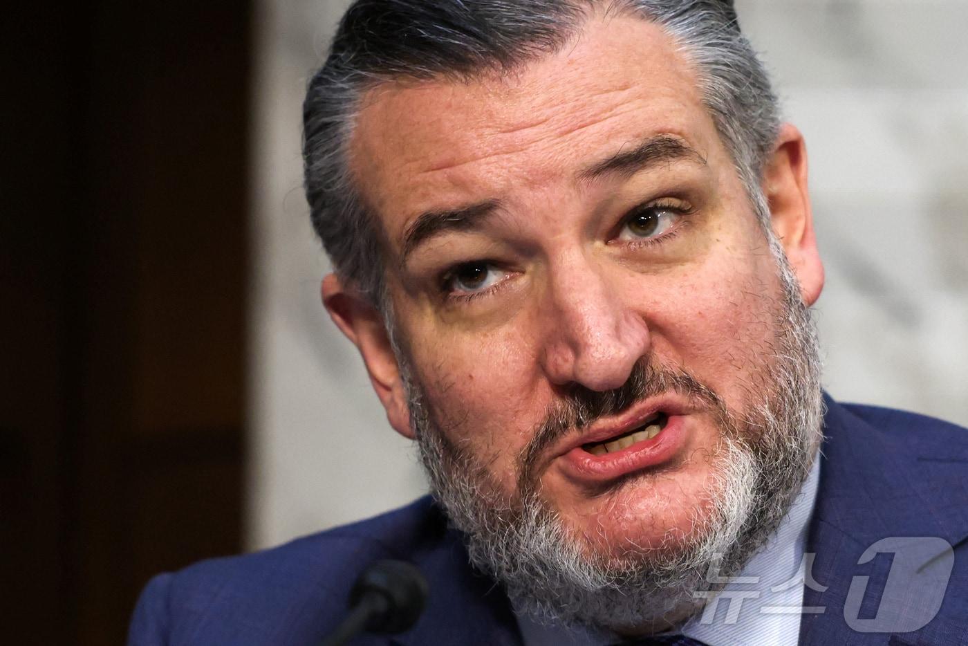 본문 이미지 - 테드 크루즈 미국 공화당 상원의원. 2025.01.30 ⓒ 로이터=뉴스1 ⓒ News1 이지예 객원기자