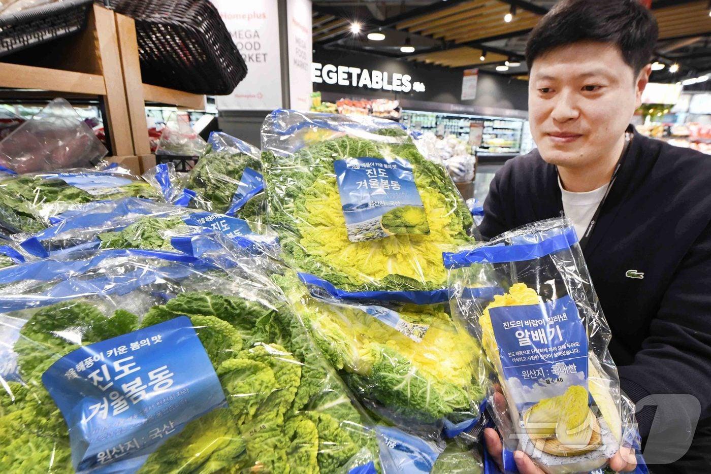 본문 이미지 - 홈플러스 직원이 서울 등촌동 ‘홈플러스 메가 푸드 마켓 라이브’ 강서점에서 ‘진도 겨울 봄동’과 ‘진도의 바람이 길러낸 알배기’를 소개하고 있는 모습. (홈플러스 제공. 재판매 및 DB 금지) 2026.1.27 ⓒ 뉴스1