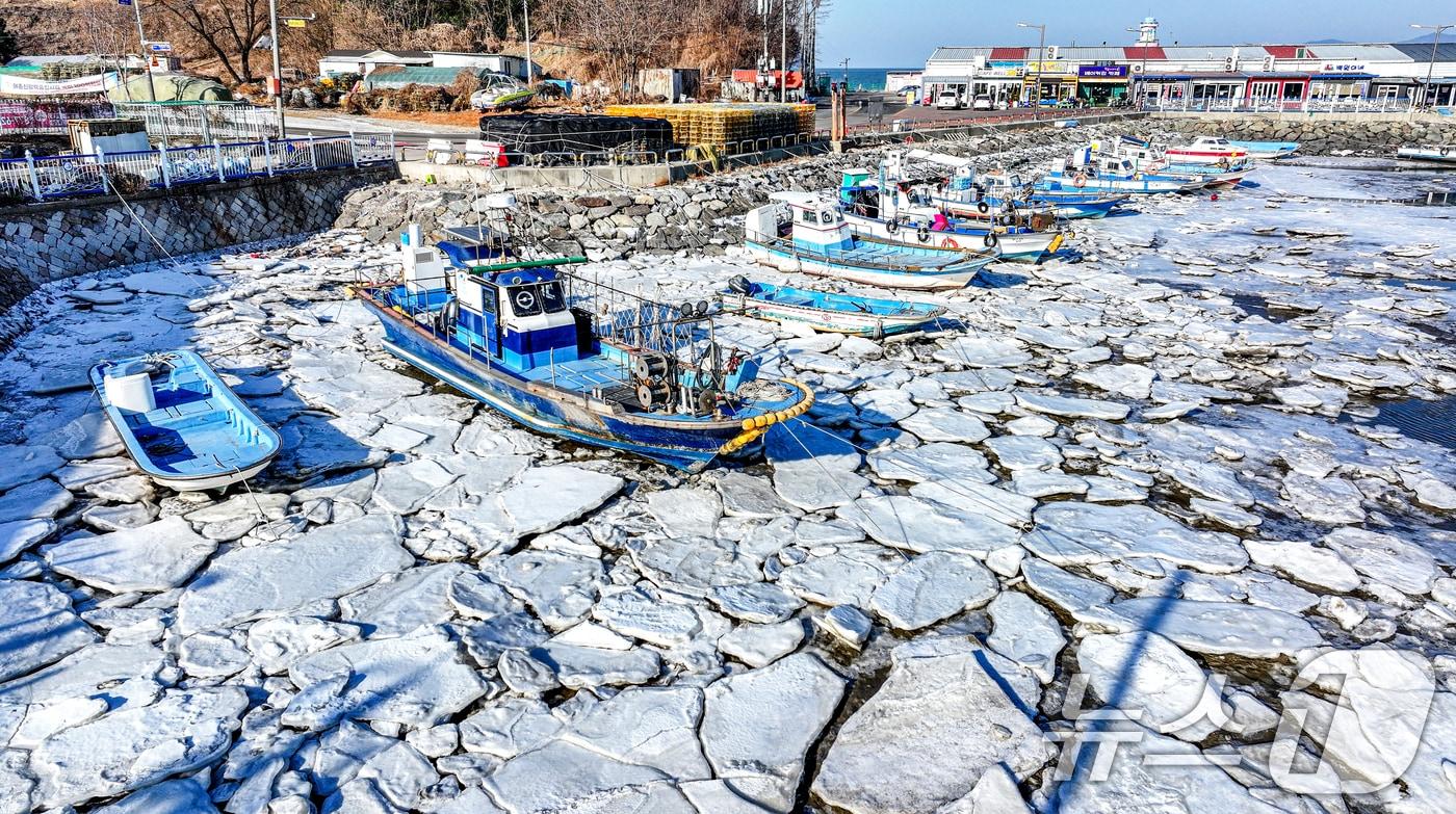 본문 이미지 - 영하권에 날씨가 연일 이어진 27일 인천 중구 영종도 예단포선착장의 갯벌이 얼어붙어 있다. 2026.1.27/뉴스1 ⓒ News1 이호윤 기자