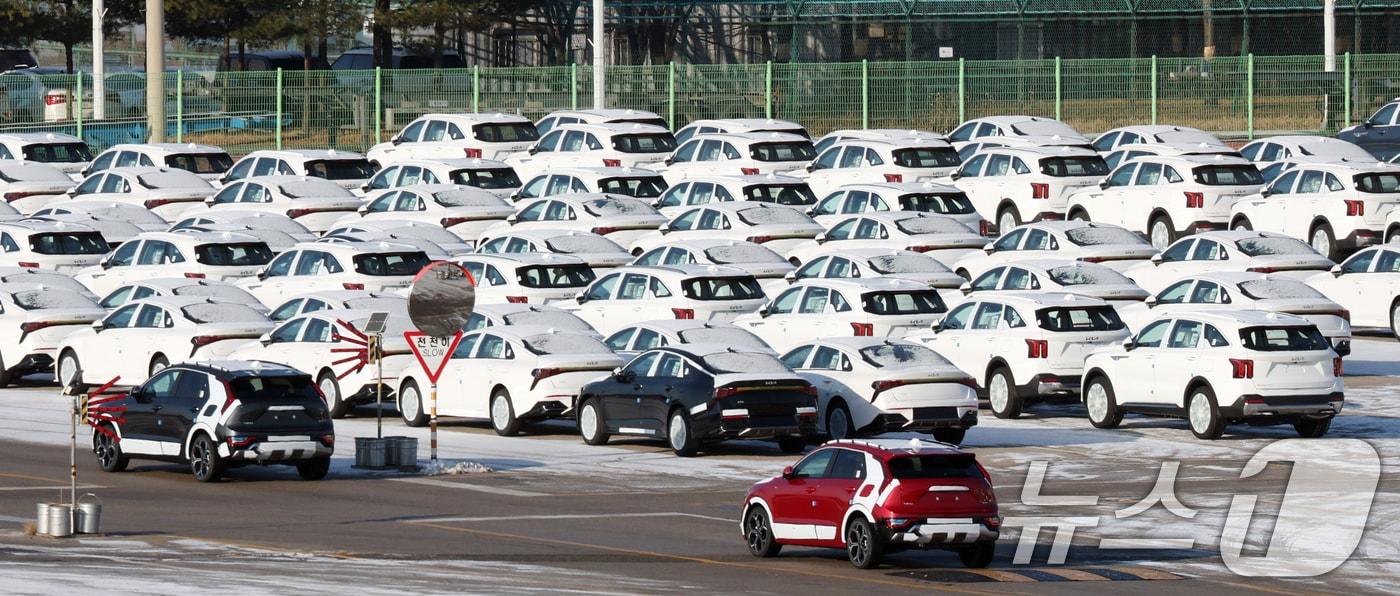 본문 이미지 - ⓒ 뉴스1 김영운 기자