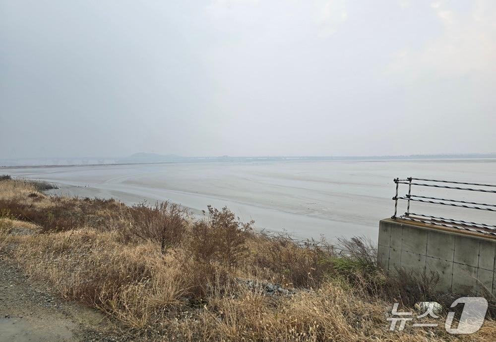 본문 이미지 - 영종도 제2준설토 투기장 / 뉴스1 ⓒ News1 유준상 기자