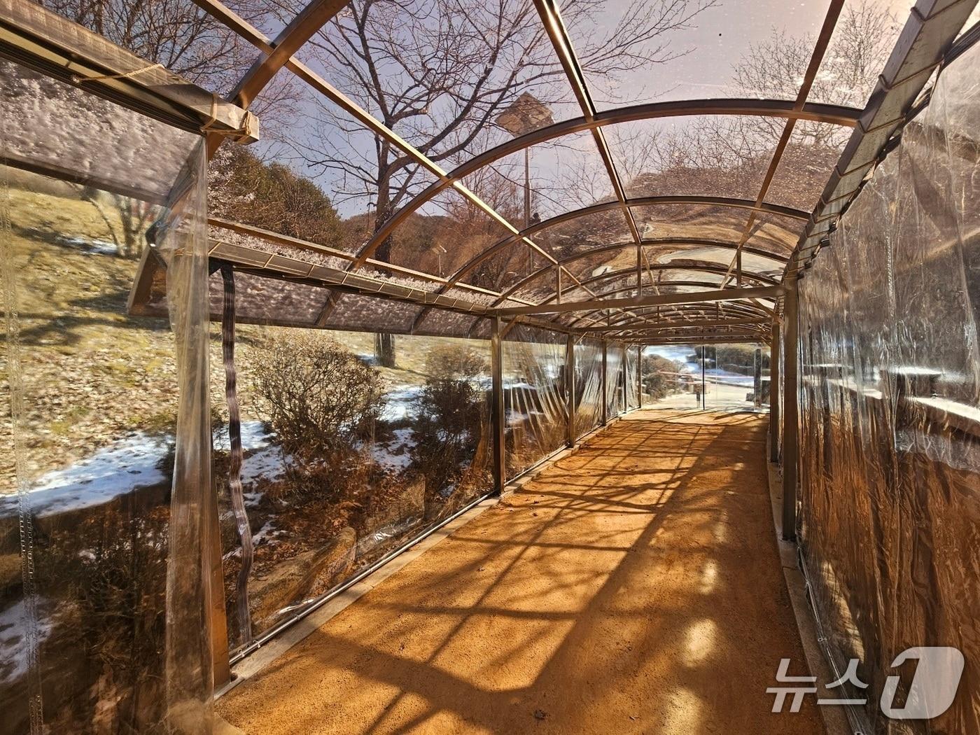 본문 이미지 - 경기 안양시가 병목안시민공원 맨발산책길에 설치한 지붕 캐노피와 방한 비닐막.(안양시 제공. 재판매 및 DB금지)/뉴스1