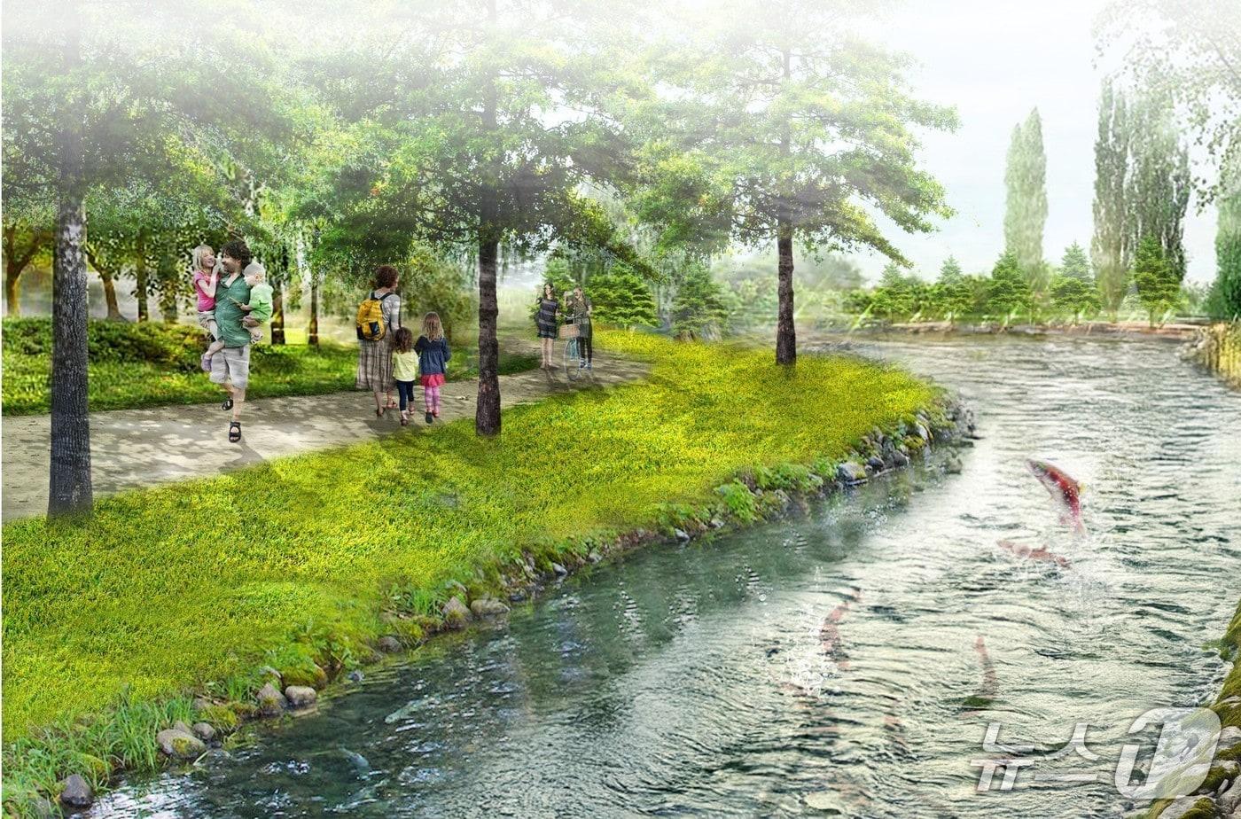 본문 이미지 - 강원 양양 연어자연산란장 투시도.(양양군 제공, 재판매 및 DB 금지) 2026.1.27/뉴스1