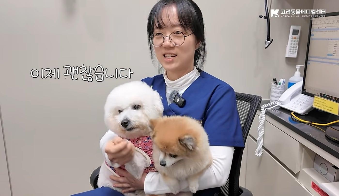 본문 이미지 - 박소영 고려동물메디컬센터 난치성장질환센터장이 치료받은 동물들을 안고 치료 과정에 대해 설명하고 있다(병원 제공). ⓒ 뉴스1