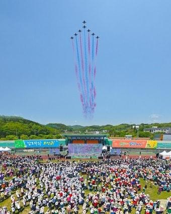 본문 이미지 - 제48회 보성다향대축제에서  블랙이글스의 개막공연