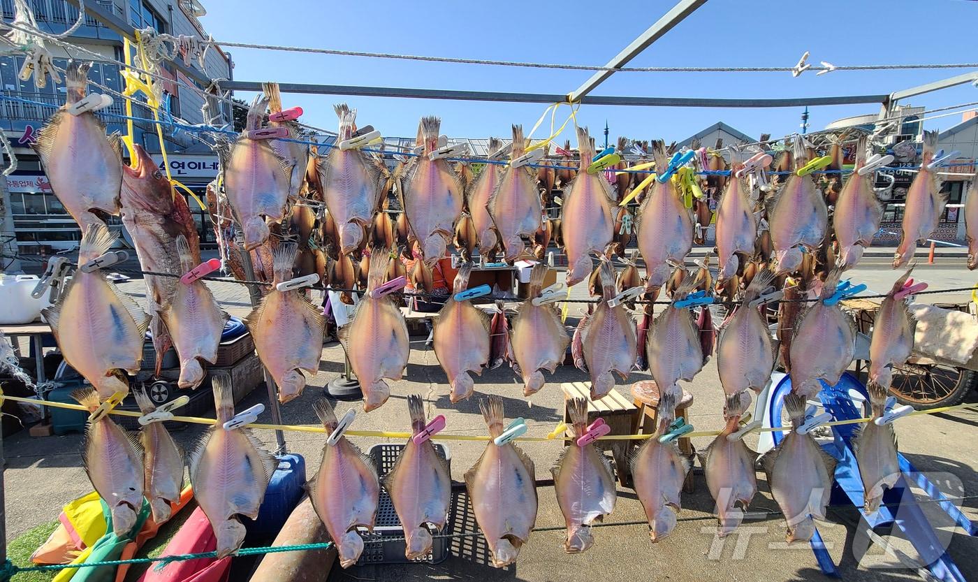 본문 이미지 - 영하의 추위가 이어지는 강원 속초 대포항에서 어민들이 널어 놓은 생선이 햇볕에 말라가고 있다. 빨래집게로 생선을 집어 놓은 모습이 이채롭다.(속초시 제공, 재판매 및 DB 금지) 2026.1.27/뉴스1 ⓒ News1 윤왕근 기자