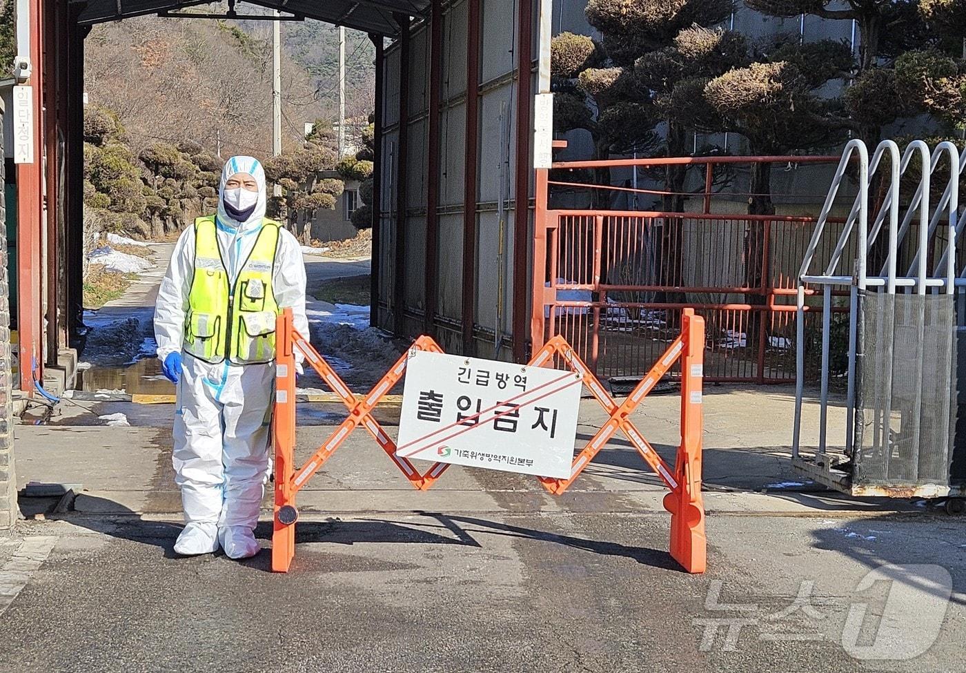 본문 이미지 - 영광 아프리카돼지열병 방역 현장 모습.(전남도 제공. 재판매 및 DB금지) 2026.1.27/뉴스1 ⓒ News1 전원 기자