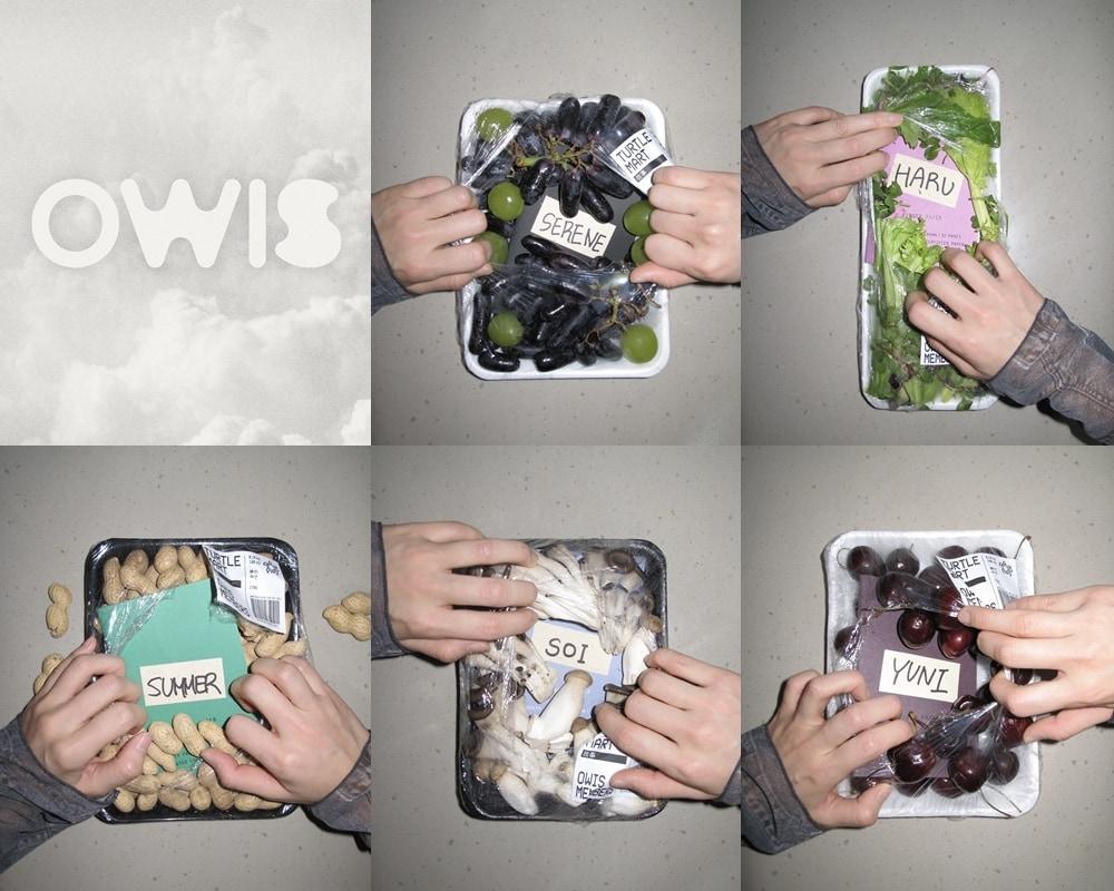 본문 이미지 - 사진제공=ama