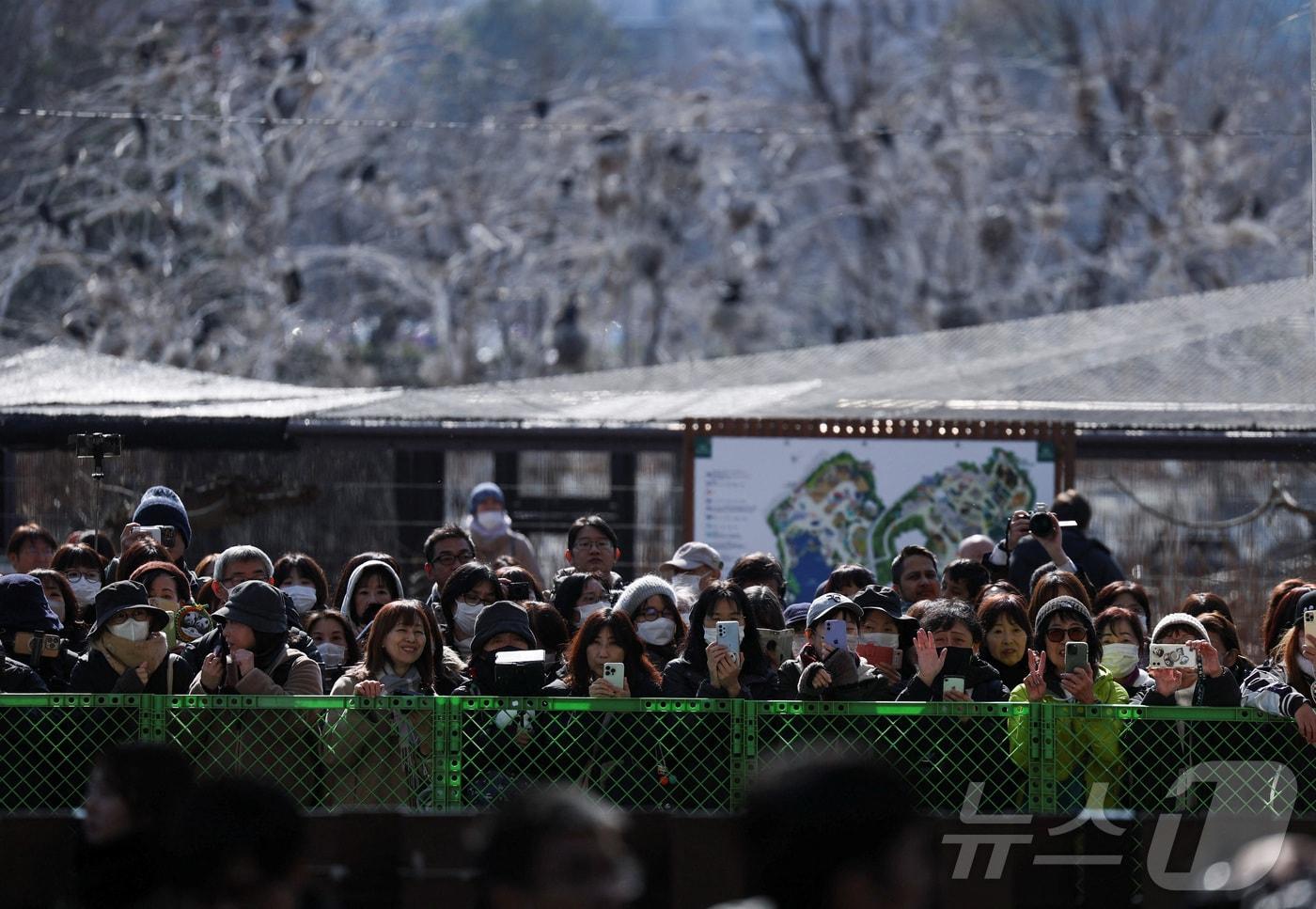 본문 이미지 - 일본인들이 도쿄 우에노동물원의 판다 샤오샤오와 레이레이를 배웅하기 위해 모였다. 2026.1.27 ⓒ 로이터=뉴스1 ⓒ News1 정은지 특파원