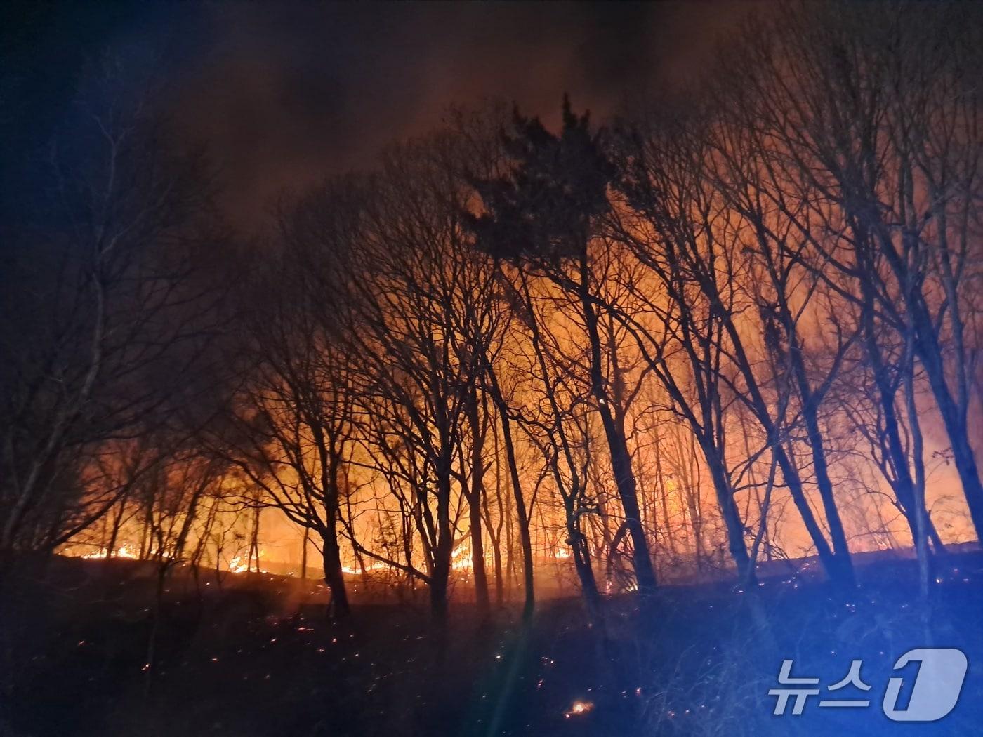 본문 이미지 - 27일 전남 고흥군 한 야산에 불이 난 모습.(전남소방본부 제공. 재판매 및 DB 금지) 2026.1.27