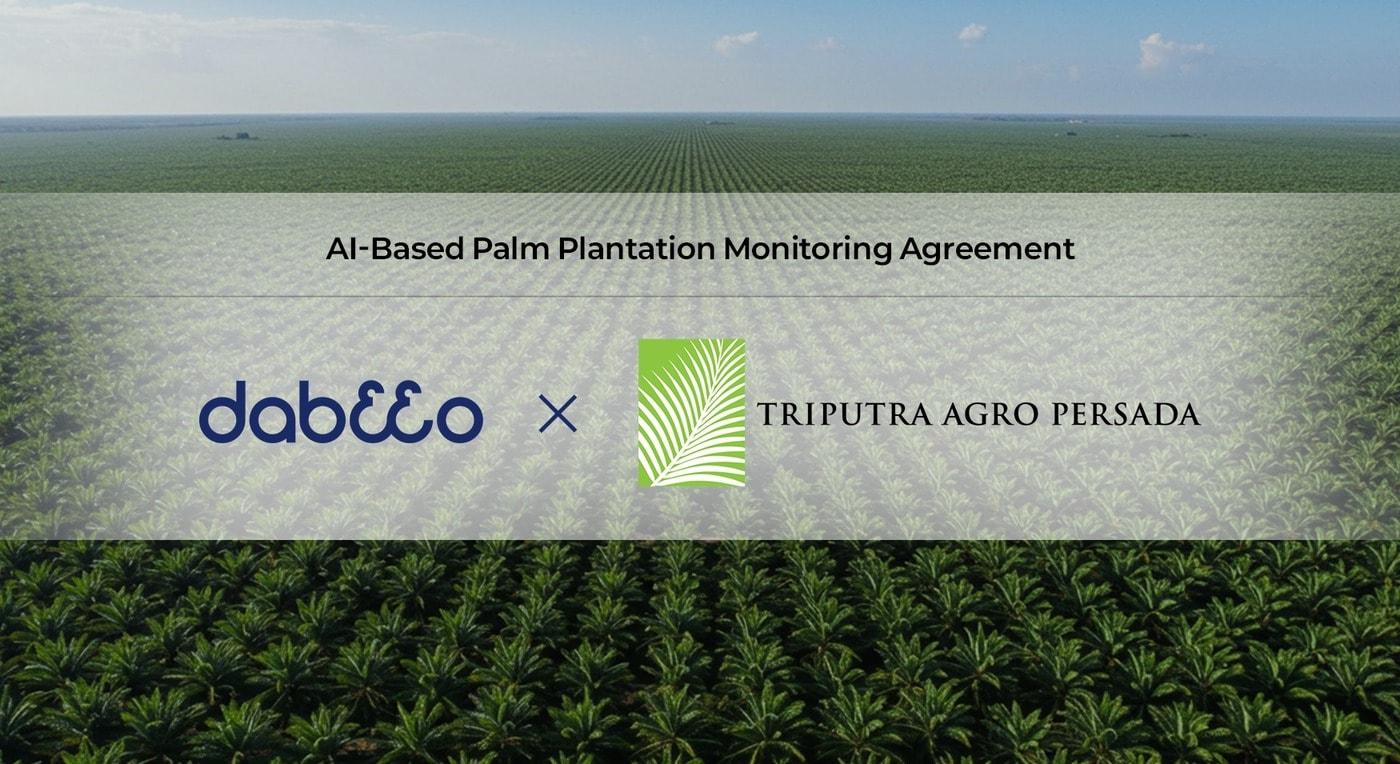 본문 이미지 - 사진=다비오 제공