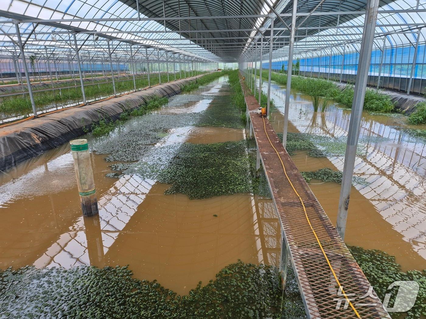 본문 이미지 - 토하 양식장 모습.(전북도 제공. 재판매 및 DB금지)/뉴스1 