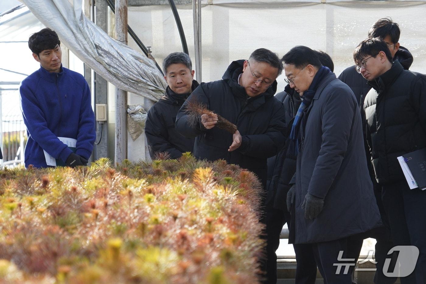 본문 이미지 - 김인호 산림청장이 28일 양평군에서 국유양묘장을 점검하고 있다. (산림청 제공.재판매 및 DB 금지)/뉴스1 