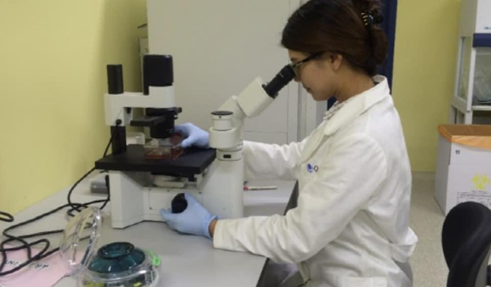 본문 이미지 - 큐리언트 연구원이 신약 후보물질 분석을 하고 있다.(큐리언트 제공)/뉴스1