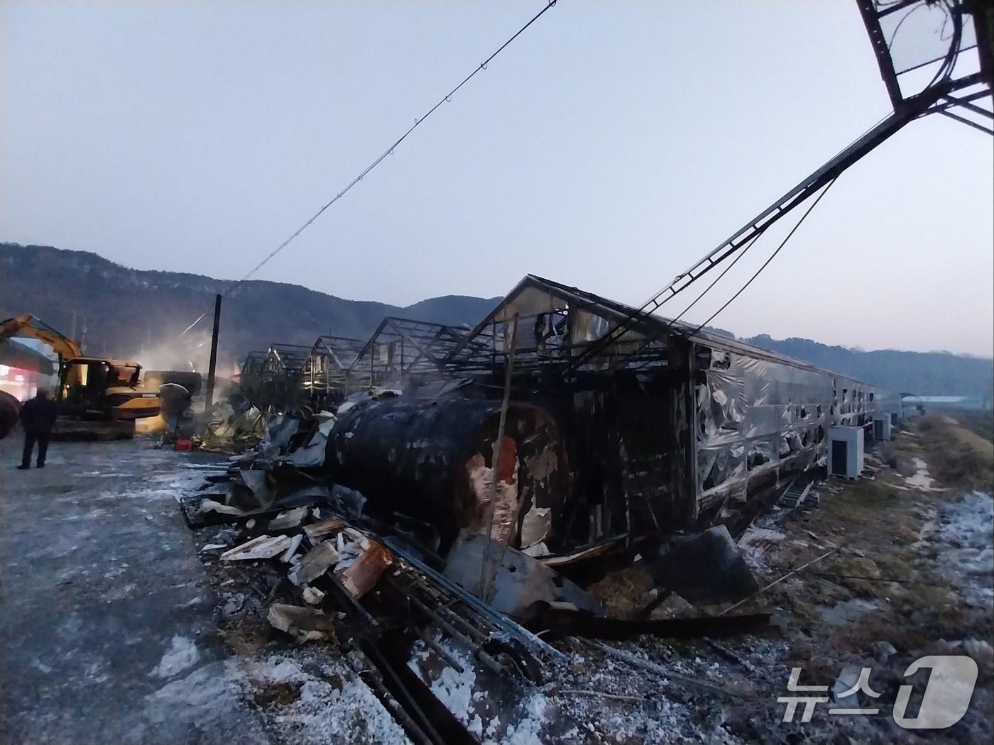 본문 이미지 - 하동 비닐하수스 화재 현장(경남소방본부 제공. 재판매 및 DB금지). 2026.1.29