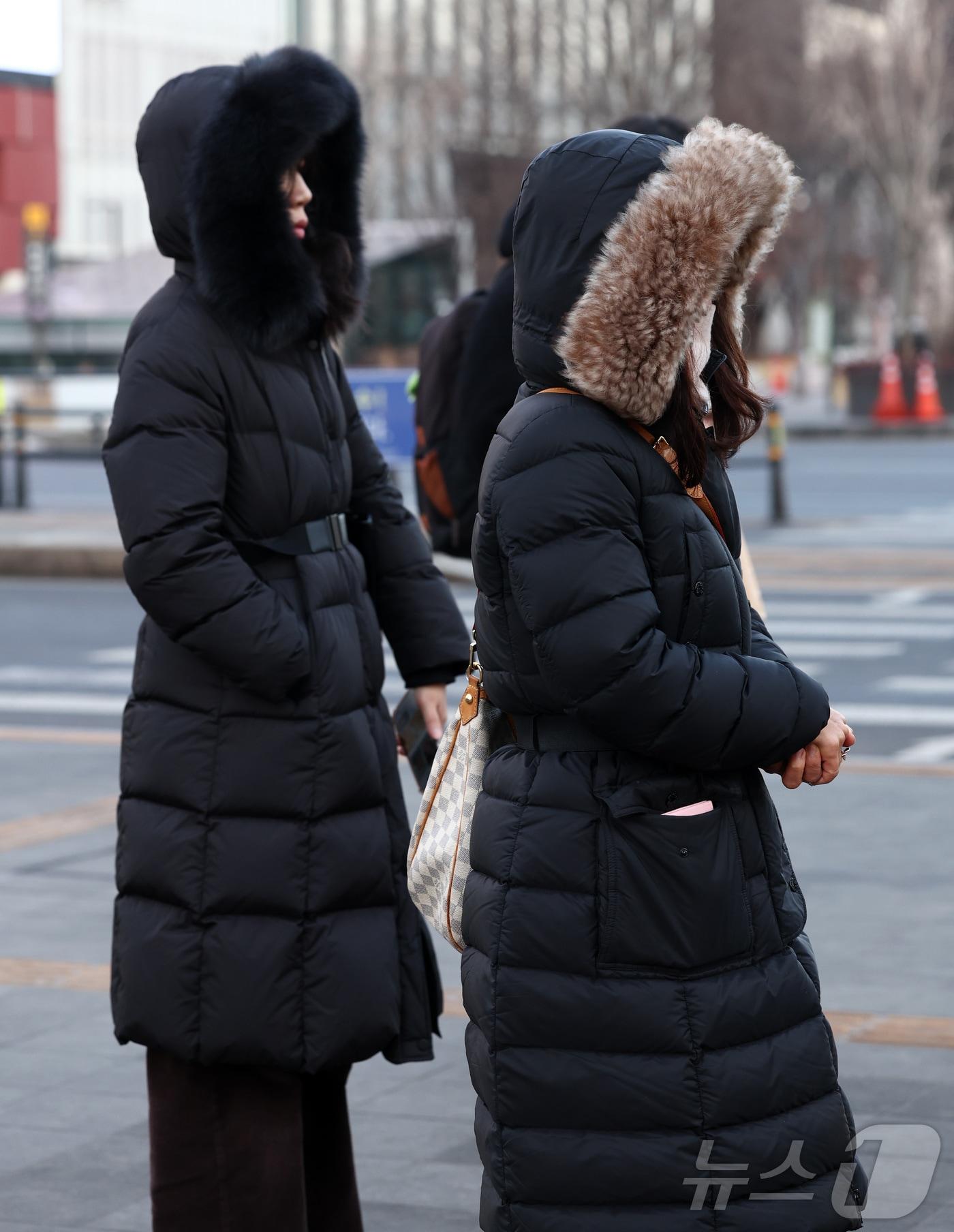 본문 이미지 - 강추위에 중무장한 시민들 ⓒ 뉴스1