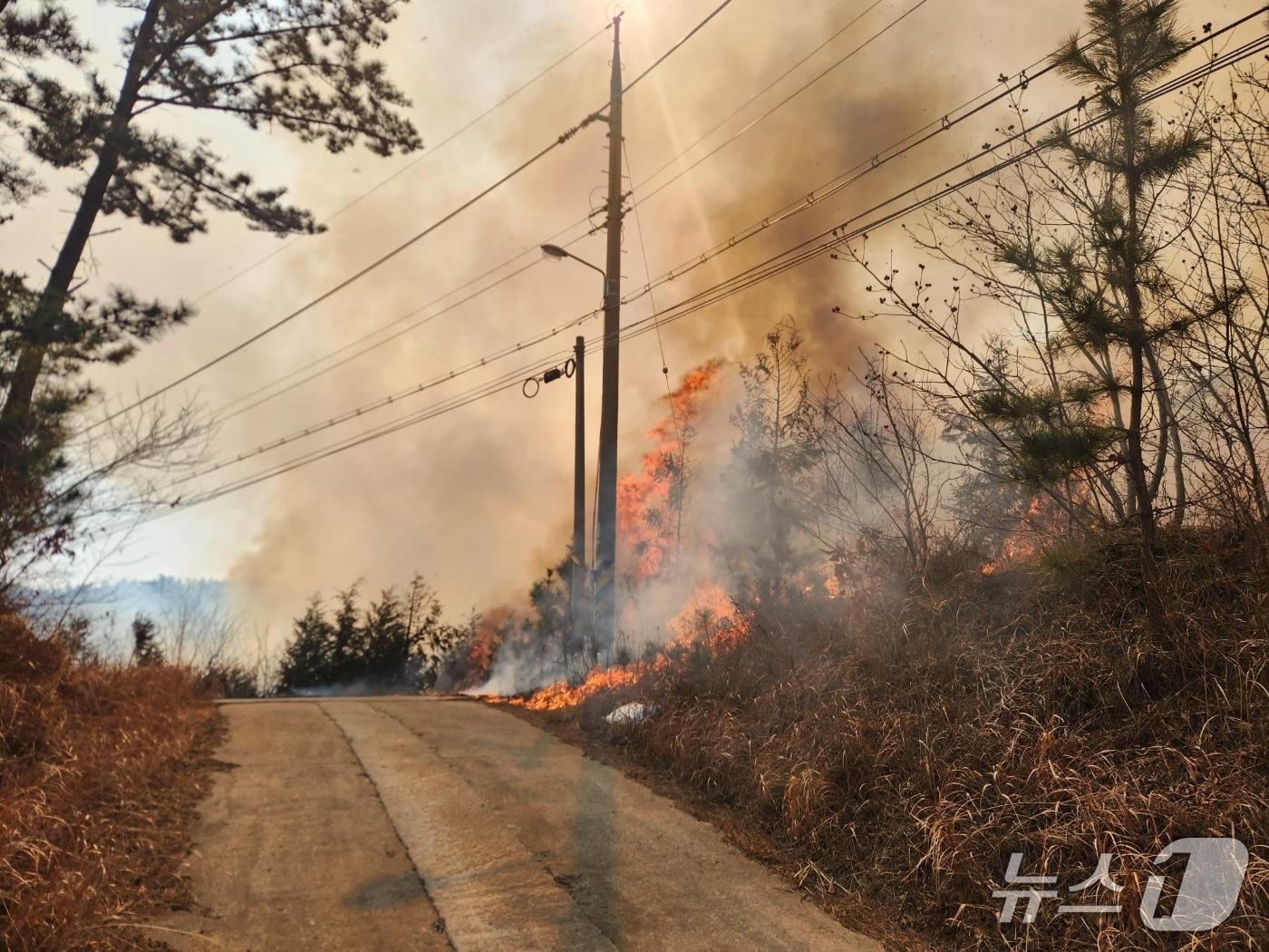 본문 이미지 - 지난해 3월 태안군 이원면 산불 당시 모습(태안군 제공. 재판매 및 DB금지)2026.1.29/뉴스1