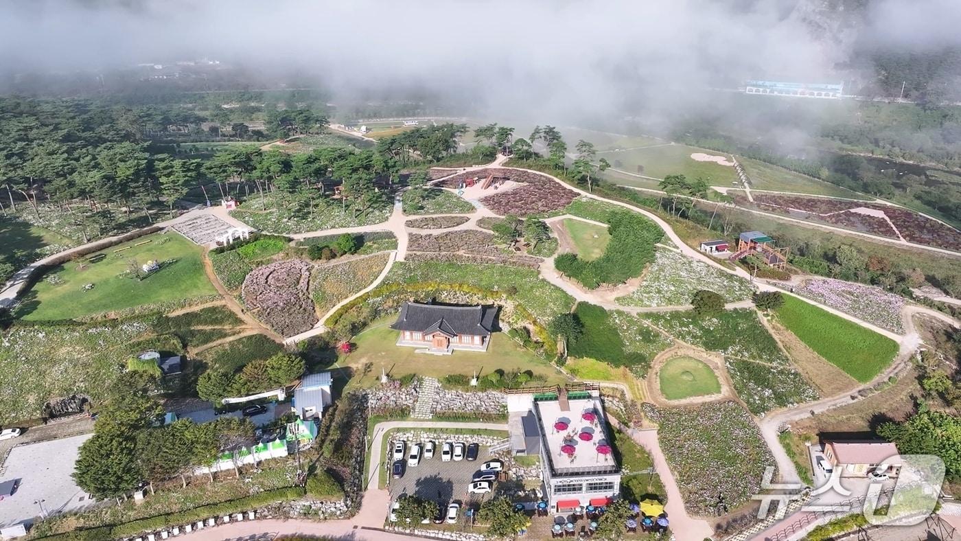 본문 이미지 - 전북 정읍시 소재 구절초지방공원 전경.(정읍시 제공. 재판매 및 DB금지)/뉴스1 