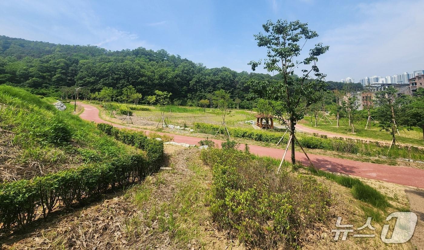 본문 이미지 - 청주시 우암산그린공원.(시 제공)/뉴스1