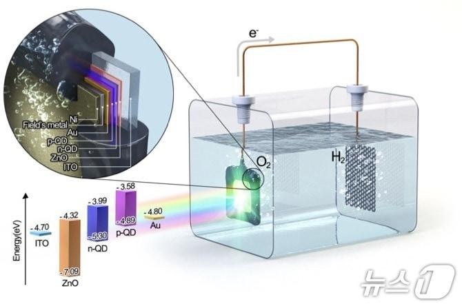 본문 이미지 - 고가의 희생제 없이도 수소를 생산하는 금속 황화물 기반 광전극.(UNIST 제공. 재판매 및 DB금지)/뉴스1
