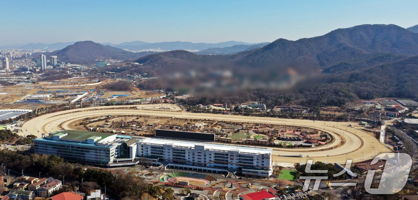 본문 이미지 - 경기 과천시 주암동 일대의 모습. 2026.1.29 ⓒ 뉴스1 김영운 기자